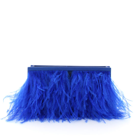 BLUE SWAN